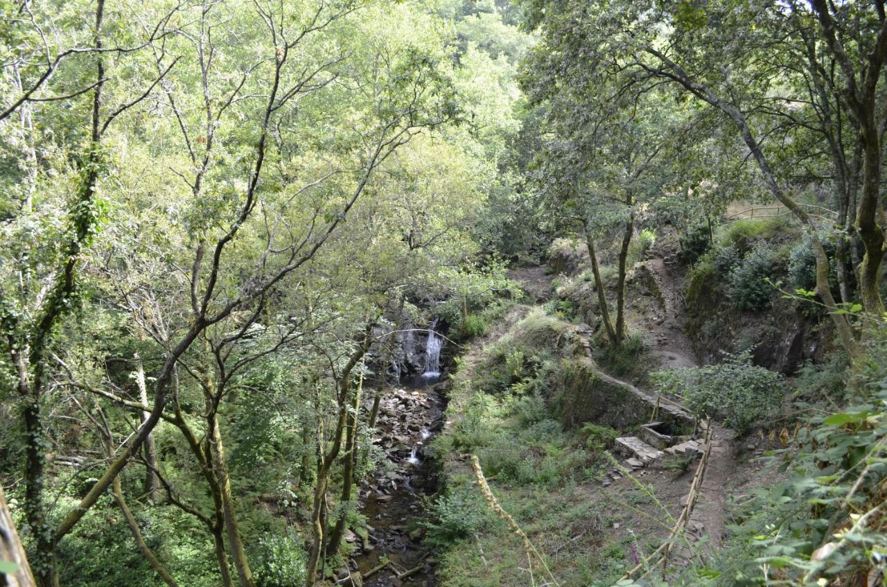 Encosta Do Douro - Rio Douro Villa Cinfães Kültér fotó