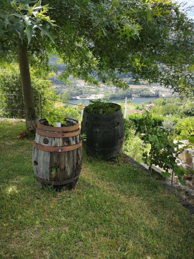 Encosta Do Douro - Rio Douro Villa Cinfães Kültér fotó