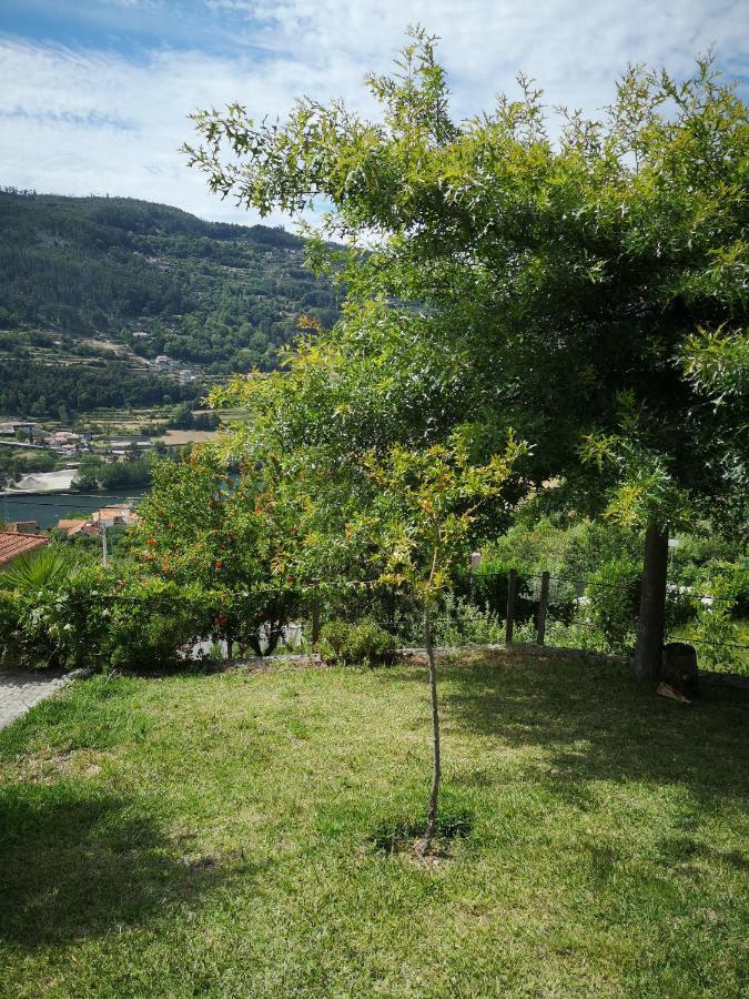 Encosta Do Douro - Rio Douro Villa Cinfães Kültér fotó